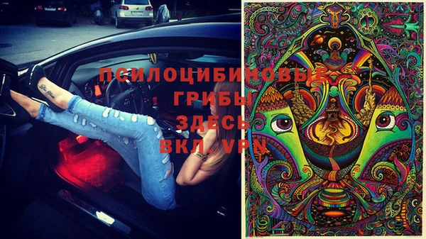 амфетамин Алексеевка