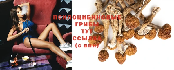круглые Алзамай