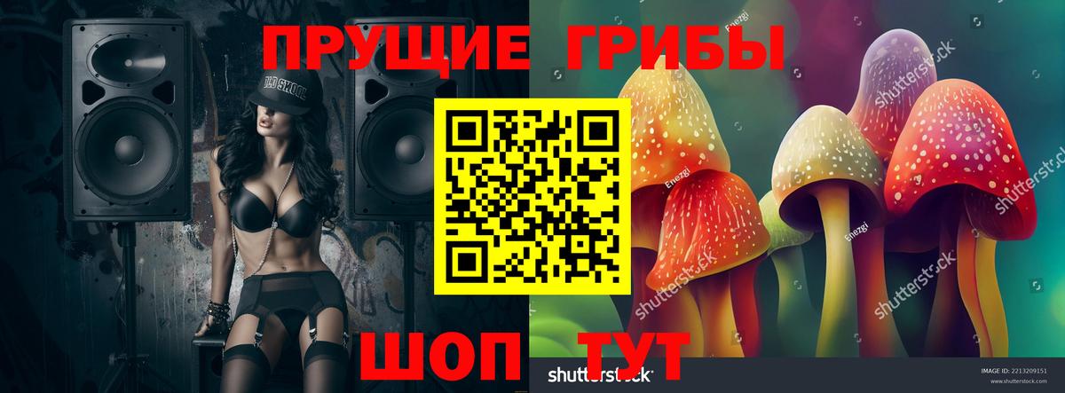 Псилоцибиновые грибы GOLDEN TEACHER Гагарин