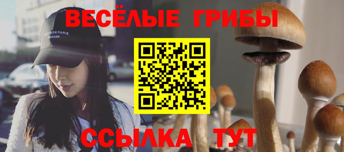 COCAIN  Экстази  NBOMe  Меф   МАРИХУАНА  Гагарин  Вход с VPN  А ПВП СК   Метадон  Гашиш 